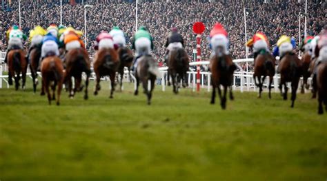 cheltenham races betting|Cheltenham Festival Odds 2025 .